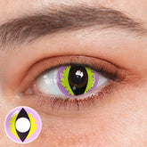 Lentes de contacto de color morado con diseño de gato salvaje para cosplay